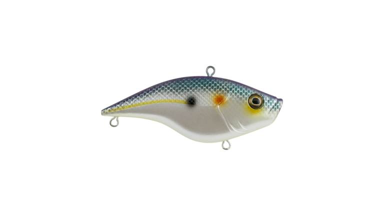 Berkley Warpig - BHBWP1/2-CMPRL