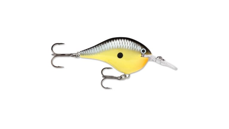 Rapala DT Series Crankbaits - DT06OLSL