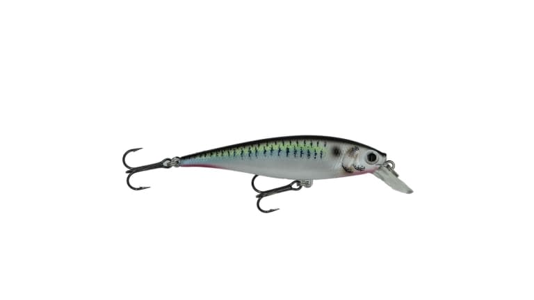 Lucky Craft Pointer 78 - 425