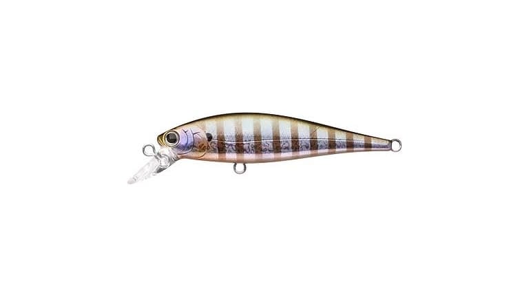 Lucky Craft Pointer 65 - 813