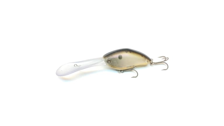 Nishine Chippawa XDD - 179