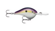 Rapala DT Series Crankbaits - BGSD - Thumbnail