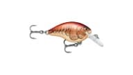 Rapala DT Series Crankbaits - DT04MULE - Thumbnail