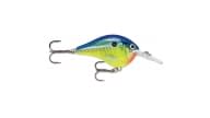 Rapala DT Series Crankbaits - DT06PRT - Thumbnail
